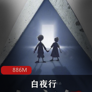 （白夜行）有声小说