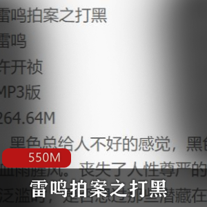 （雷鸣拍案之打黑）广播剧