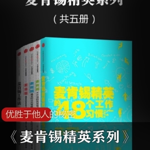 职业技术电子书:麦肯锡精英系列-个人竞争力提升