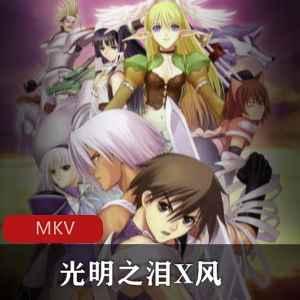 光明之泪X风:日本动漫珍藏,日语中字版,强烈推荐