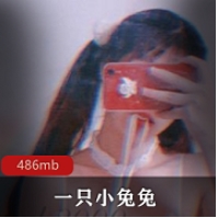 网红小兔兔玩偶