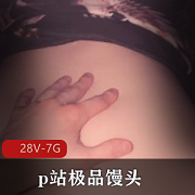 P站精选馒头AmyHide精选视频合集[28V-7G]