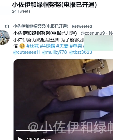 火爆网红黑超人『SirBAO』震撼新作《小佐伊和绿帽努努》554MB视频