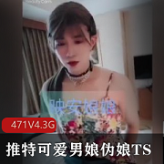 djdi精品男娘视频合集，471个文件4.3G，小视频国内资源不露脸