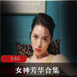 芳华:修长美腿绅士资源合集,3.6G视频享受