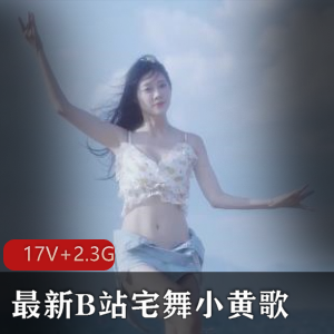 B站超火宅舞《小黄歌》17V+2.3G,同事尴尬笑翻天