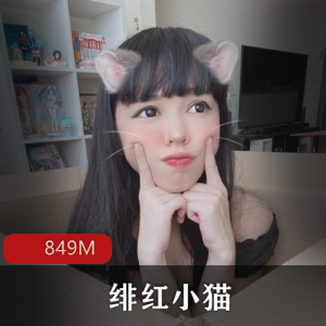 绯红小猫斗鱼网红表演合集,849MB视频精品尽收眼底