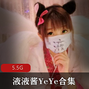 网红微博液液酱YeYe精彩合集5V5.5G，白丝黑丝女仆风格尽显