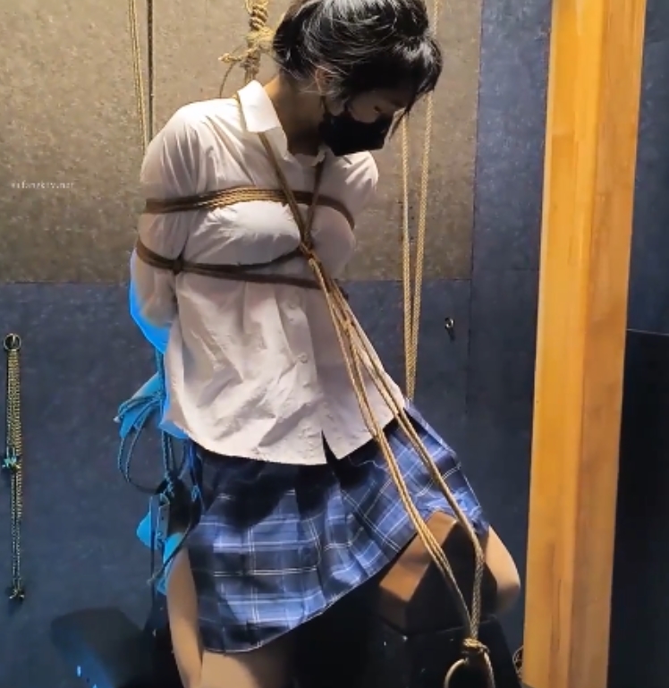 13部雨辰工作室合集26G独家度盘