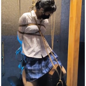 13部雨辰工作室合集26G独家度盘