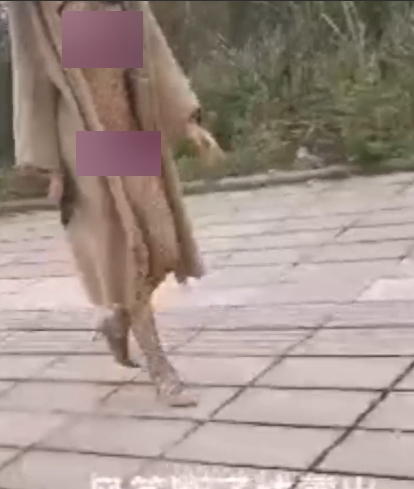 风筝断了线推特私拍门78部33.8G稀有展示