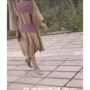 风筝断了线推特私拍门78部33.8G稀有展示