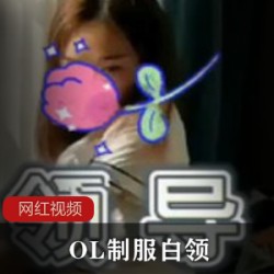 甜秘书OL服装收藏合集66部5G优质推荐