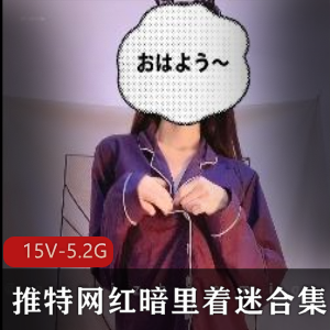 暗里着迷15部私密视频某推5.2G合集