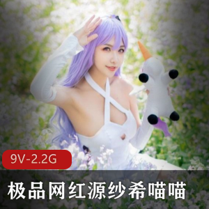 斗鱼源纱希喵喵优质COS喷血合集9V2.2G