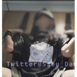 SSEUDAM绝密展示视频97部推特博主36.6G珍藏版