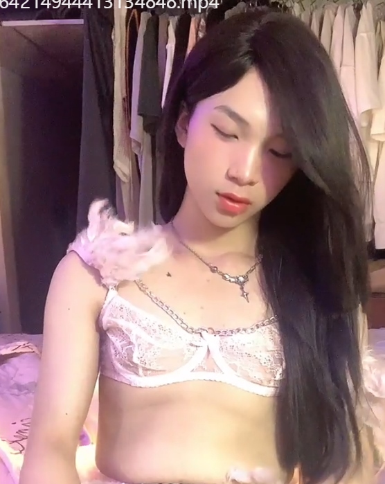 Sellykat越南TS2.8G珍藏版