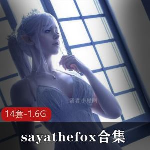 推特sayathefox多国混血2b合集多部1.6G颜值超顶